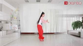 雨荷舞蹈视频,古典与现代交融的视觉盛宴