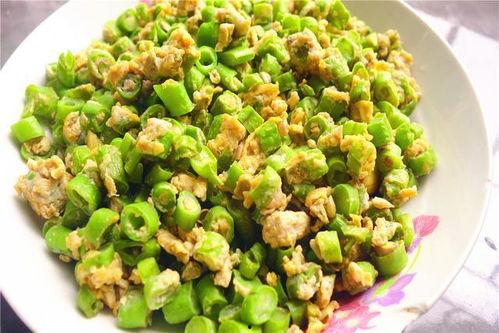 种豆角视频,从播种到收获的精彩瞬间