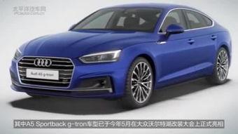 胖哥试驾视频大全2019,年度汽车试驾盛宴回顾