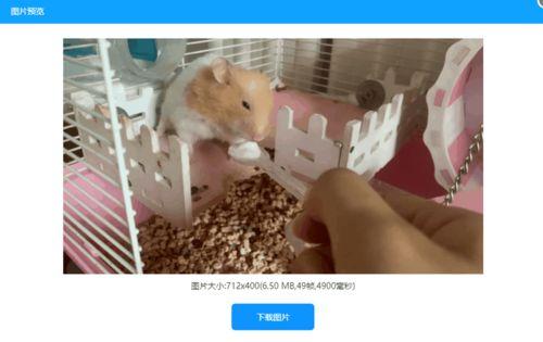 免费在线视频转gif,轻松制作动图,分享精彩瞬间