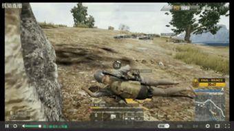 fly100比赛视频,fly100比赛精彩瞬间回顾