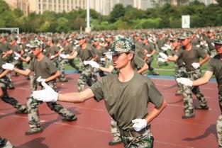 重庆大学军训视频,青春热血，砥砺前行