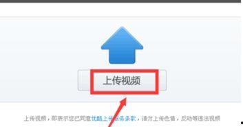 视频精品库,精选视听盛宴,尽享光影魅力