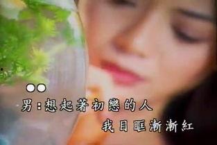 张菲江蕙视频,经典瞬间回顾