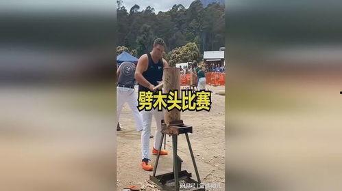 劈木头视频,高效劈木技巧，轻松掌握劈柴艺术