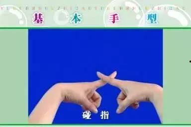 幼儿园大班手指操视频,趣味互动,锻炼身心