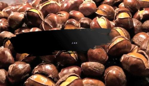 机器糖炒栗子视频,科技赋能传统美食,创新体验尽享美味时光