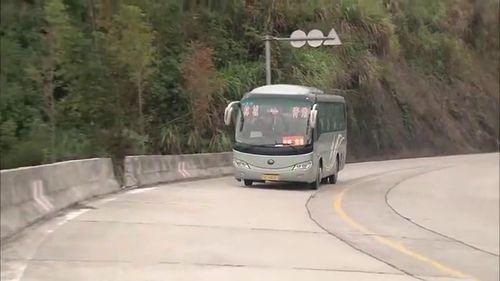 网上养鸭视频,跟随养鸭视频探索鸭舍生活