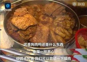 吃狗肉视频,吃狗肉视频引发的伦理争议