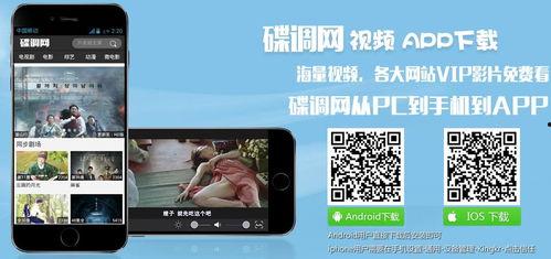 在线视频任你,从内容创新到用户互动的全方位解析